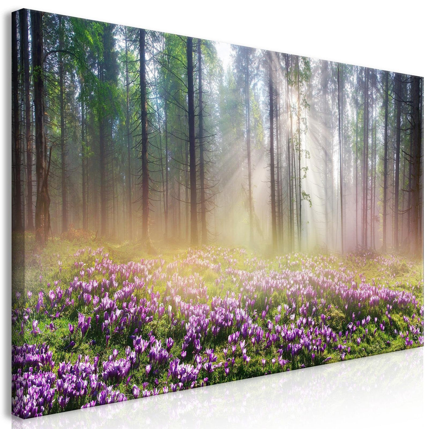 Stretched Canvas Landscape Art - Purple Meadow Wide-Tiptophomedecor