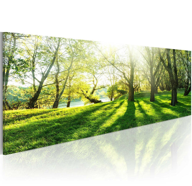 Stretched Canvas Landscape Art - Rays Of Sunshine-Tiptophomedecor