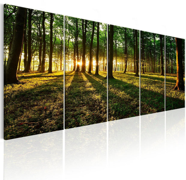 Stretched Canvas Landscape Art - Shade Of Trees 5 Piece-Tiptophomedecor