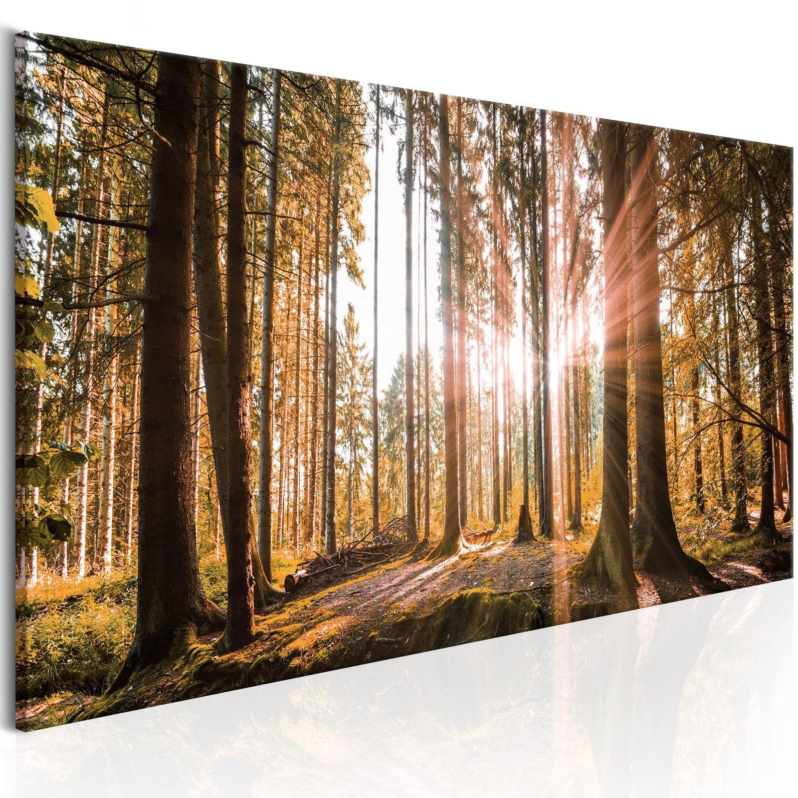 Stretched Canvas Landscape Art - Small Natural Wonders-Tiptophomedecor
