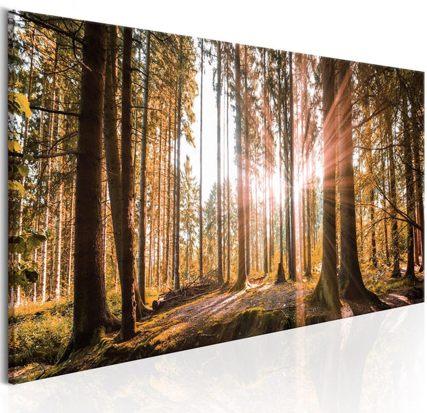 Stretched Canvas Landscape Art - Small Natural Wonders-Tiptophomedecor