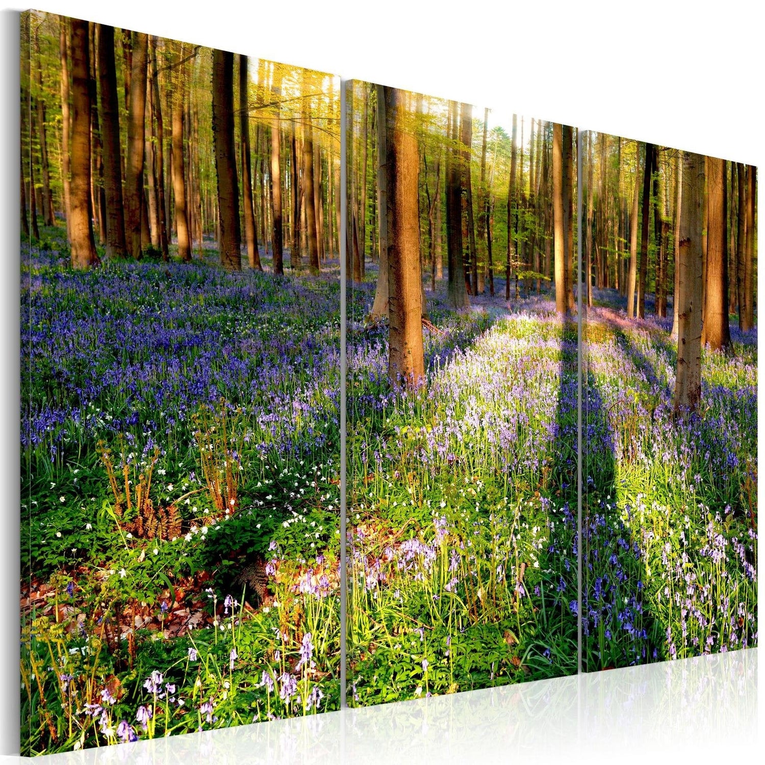 Stretched Canvas Landscape Art - Spring Forest-Tiptophomedecor