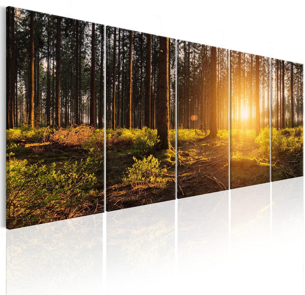 Stretched Canvas Landscape Art - Summer Morning-Tiptophomedecor