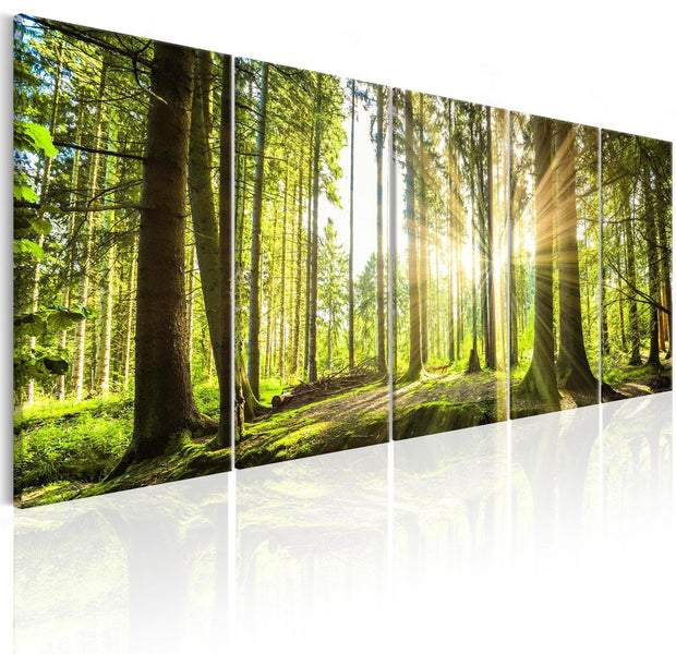 Stretched Canvas Landscape Art - Sunlight-Tiptophomedecor