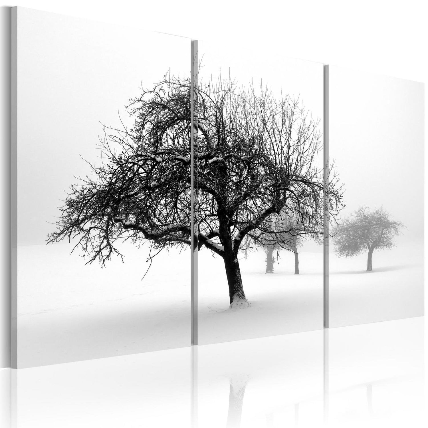 Stretched Canvas Landscape Art - Trees Submerged In White-Tiptophomedecor