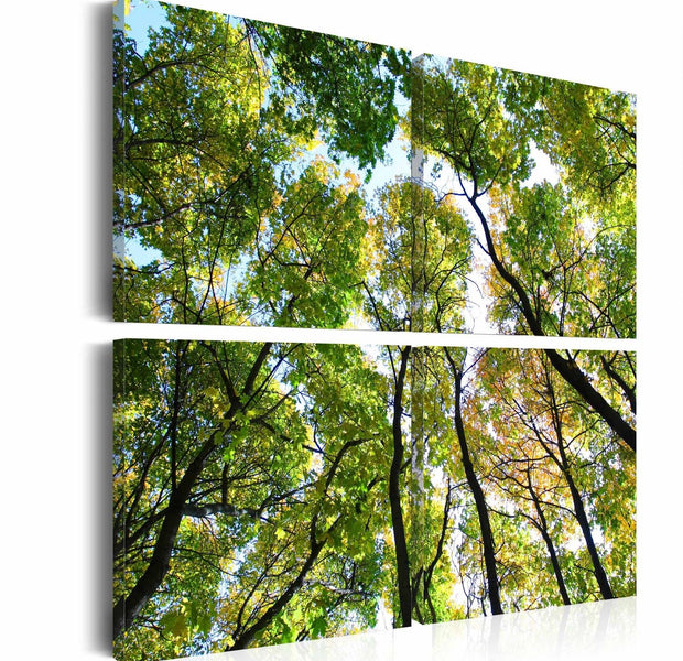 Stretched Canvas Landscape Art - Treetops-Tiptophomedecor