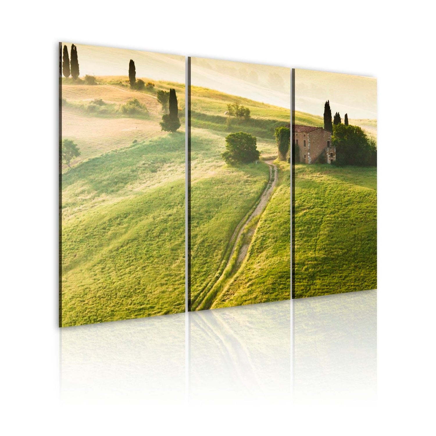 Stretched Canvas Landscape Art - Under The Tuscan Sun-Tiptophomedecor