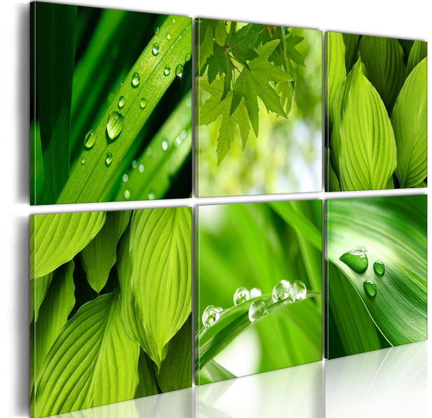 Stretched Canvas Nordic Art - Fresh Green Leaves-Tiptophomedecor