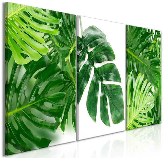 Stretched Canvas Nordic Art - Palm Leaves-Tiptophomedecor