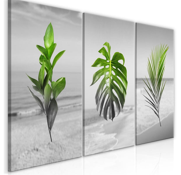 Stretched Canvas Nordic Art - Plants-Tiptophomedecor