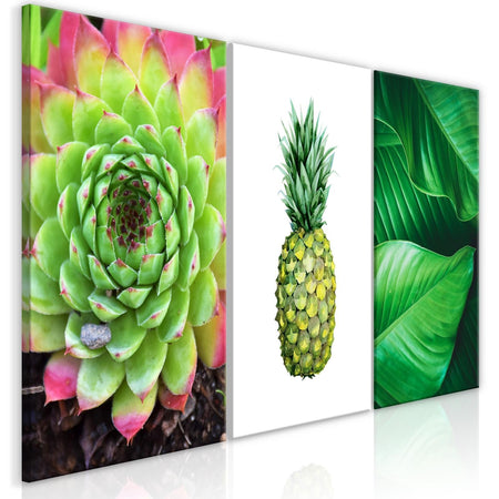 Stretched Canvas Nordic Art - Treasures Of The Tropics-Tiptophomedecor