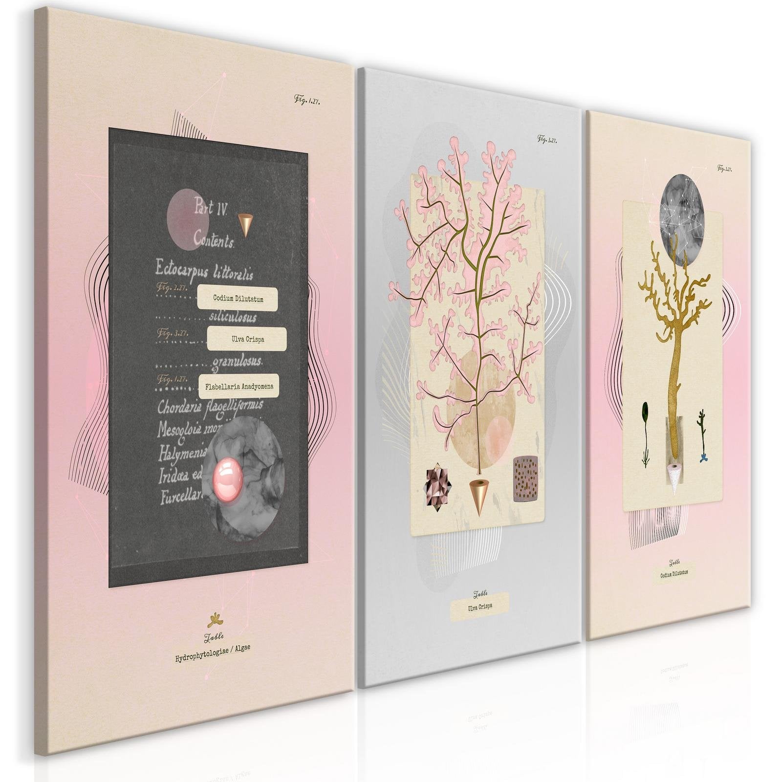 Stretched Canvas Nordic Art - Unusual Plants-Tiptophomedecor