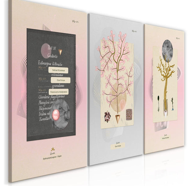 Stretched Canvas Nordic Art - Unusual Plants-Tiptophomedecor