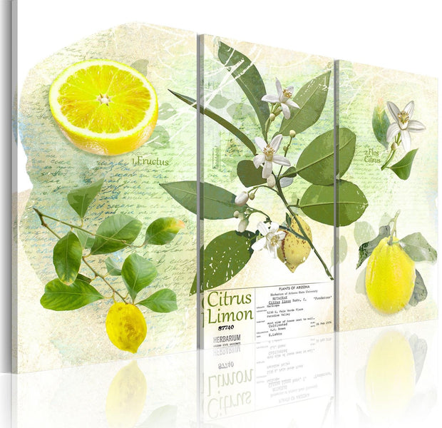 Stretched Canvas Still Life Art - Fruit: Lemon-Tiptophomedecor