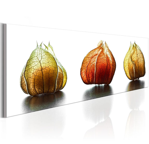 Stretched Canvas Still Life Art - Winter Cherry-Tiptophomedecor