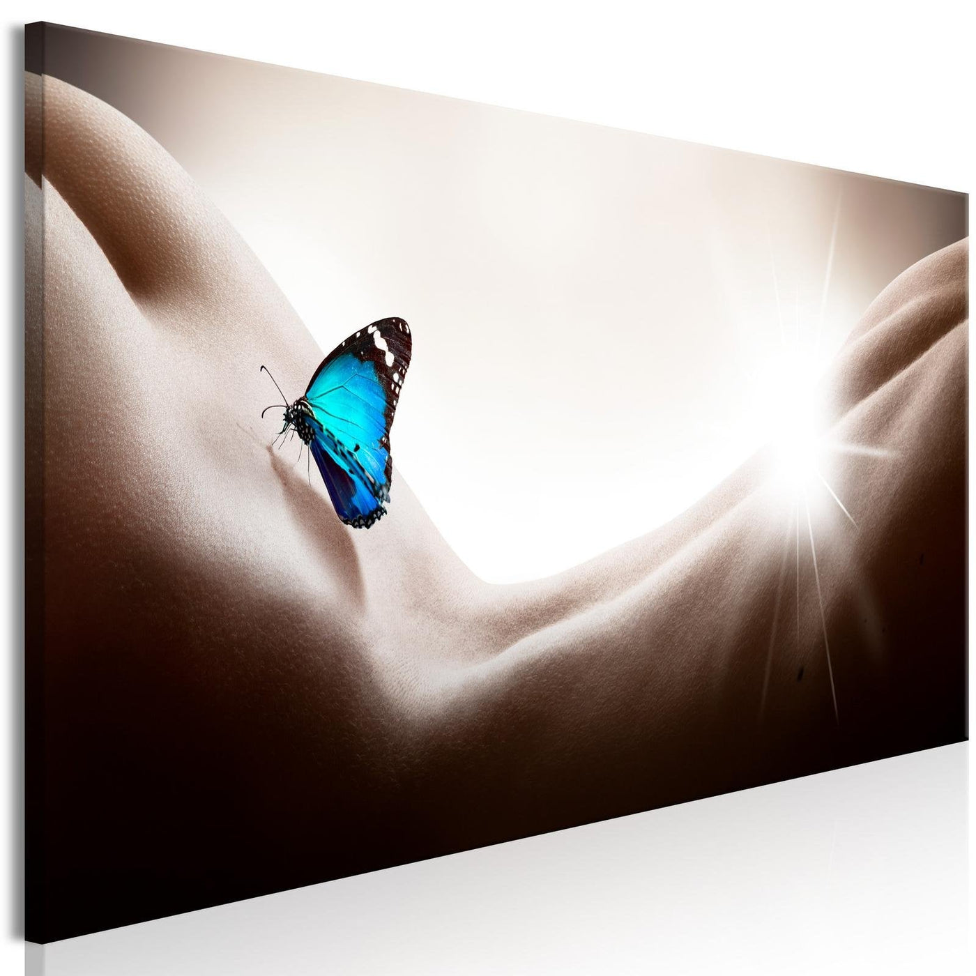 Stretched Canvas Still Life Art - Woman And Butterfly-Tiptophomedecor