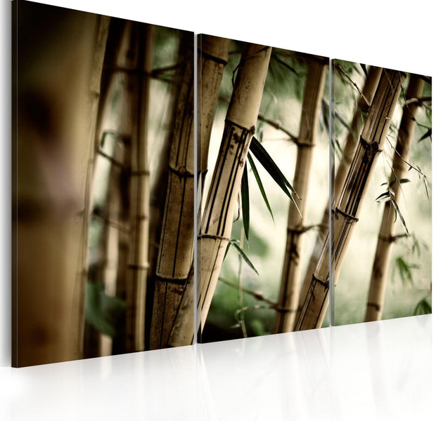 Stretched Canvas Zen Art - In A Tropical Forest-Tiptophomedecor