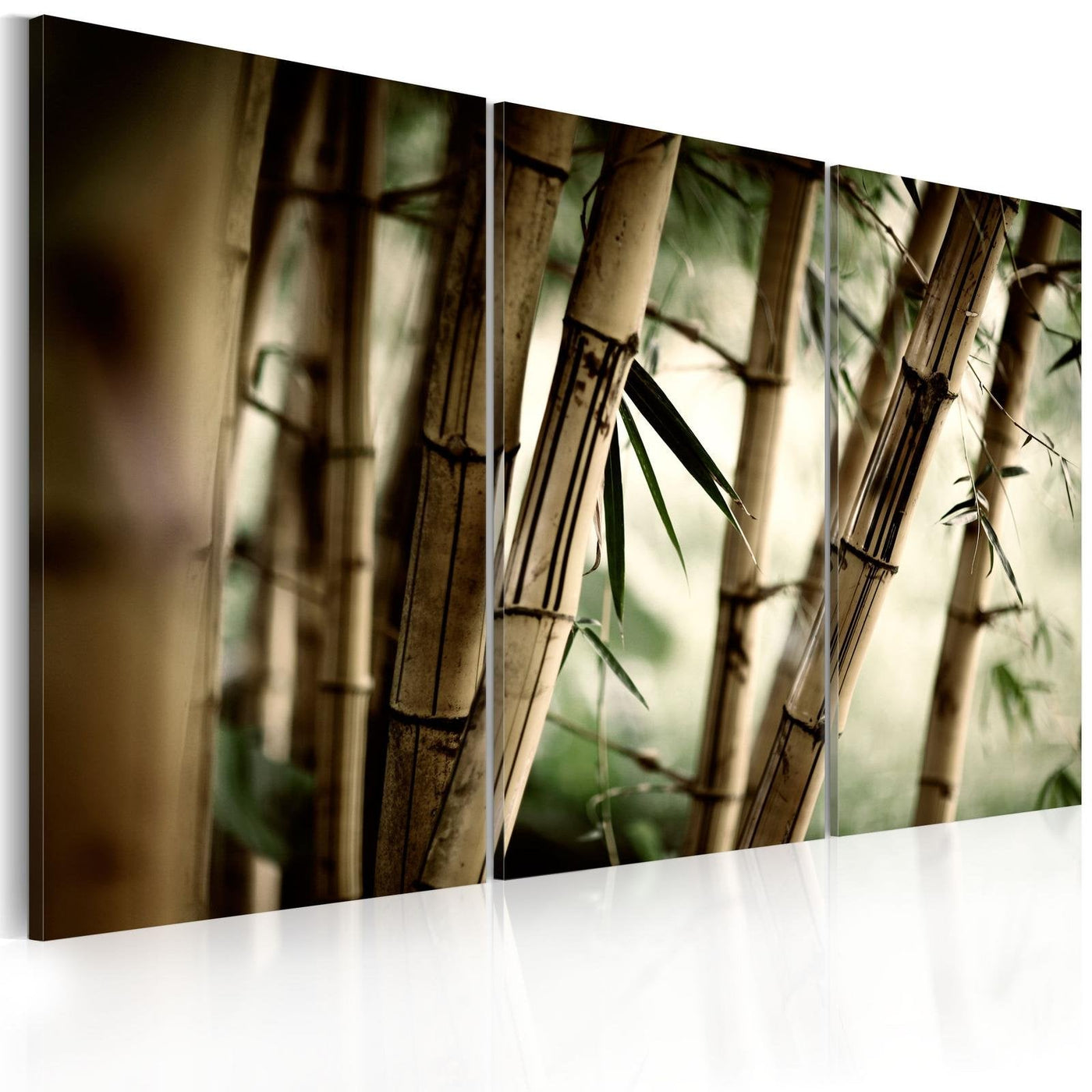Stretched Canvas Zen Art - In A Tropical Forest-Tiptophomedecor