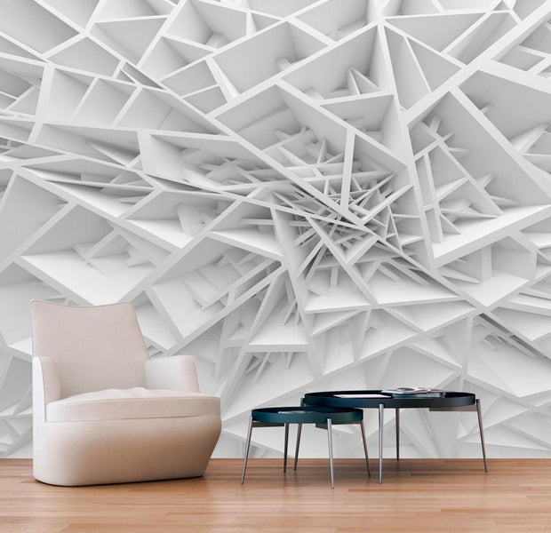 Peel and stick wall mural - White Spider's Web-TipTopHomeDecor