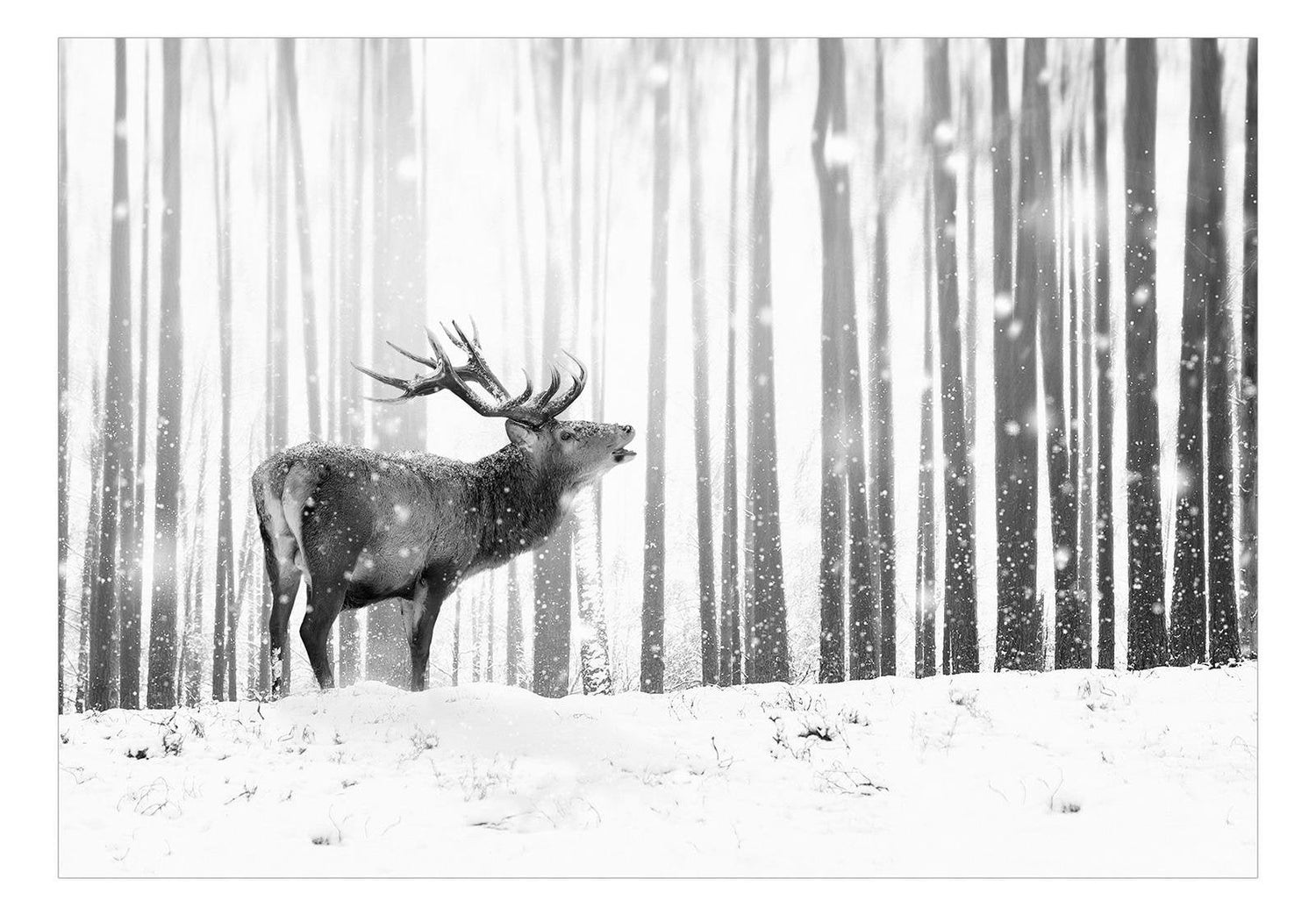 Tiptophomedecor Peel and Stick Animal Wallpaper Wall Mural - Deer In The Snow Black And White - Removable Wall Decals-Tiptophomedecor