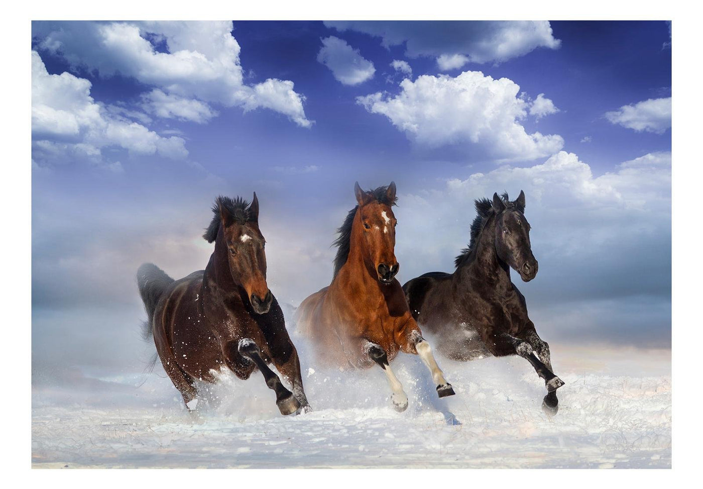 Peel and stick wall mural - Horses in the Snow-TipTopHomeDecor
