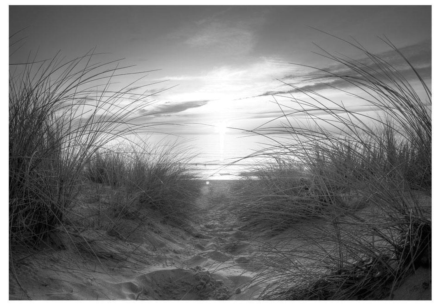 Peel and stick wall mural - beach (black and white)-TipTopHomeDecor