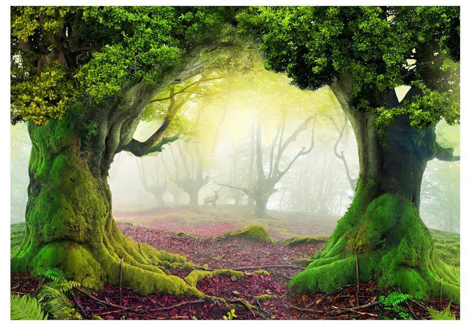 Peel and stick wall mural - Enchanted forest-TipTopHomeDecor