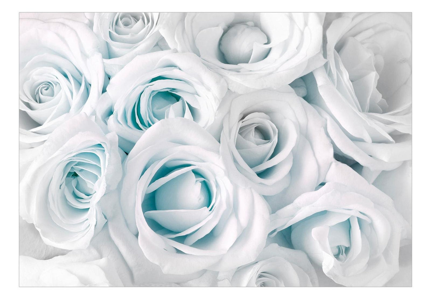 Peel and stick wall mural - Satin Rose (Turquoise)-TipTopHomeDecor