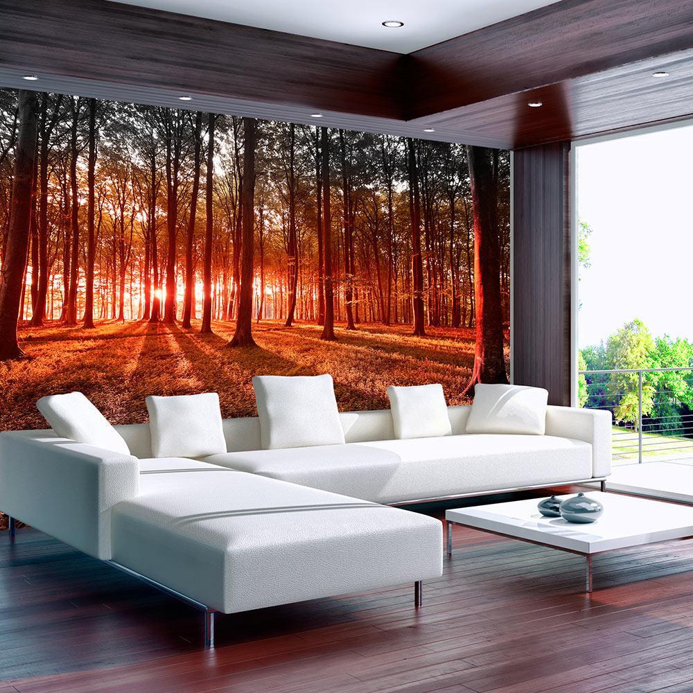 Peel and stick wall mural - Autumn: morning in the forest-TipTopHomeDecor