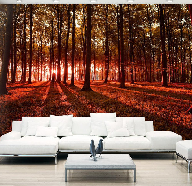 Peel and stick wall mural - Autumn Morning-TipTopHomeDecor