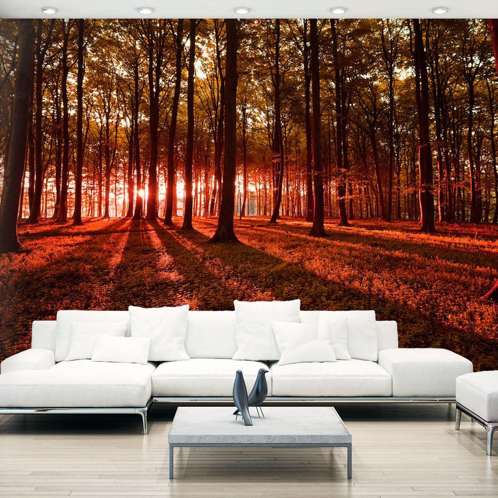 Peel and stick wall mural - Autumn Morning-TipTopHomeDecor