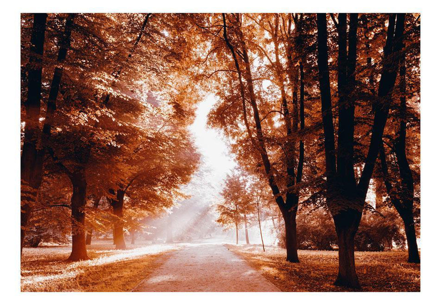 Peel and stick wall mural - Autumn Park-TipTopHomeDecor