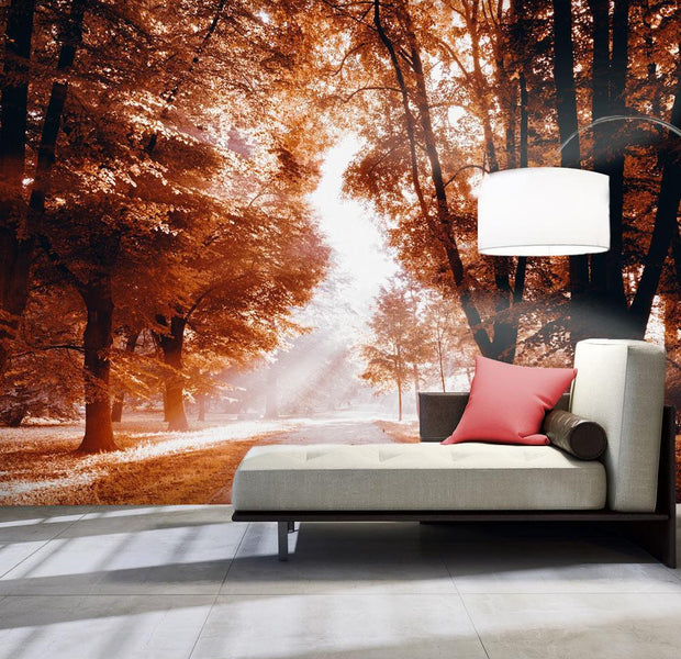 Peel and stick wall mural - Autumn Park-TipTopHomeDecor