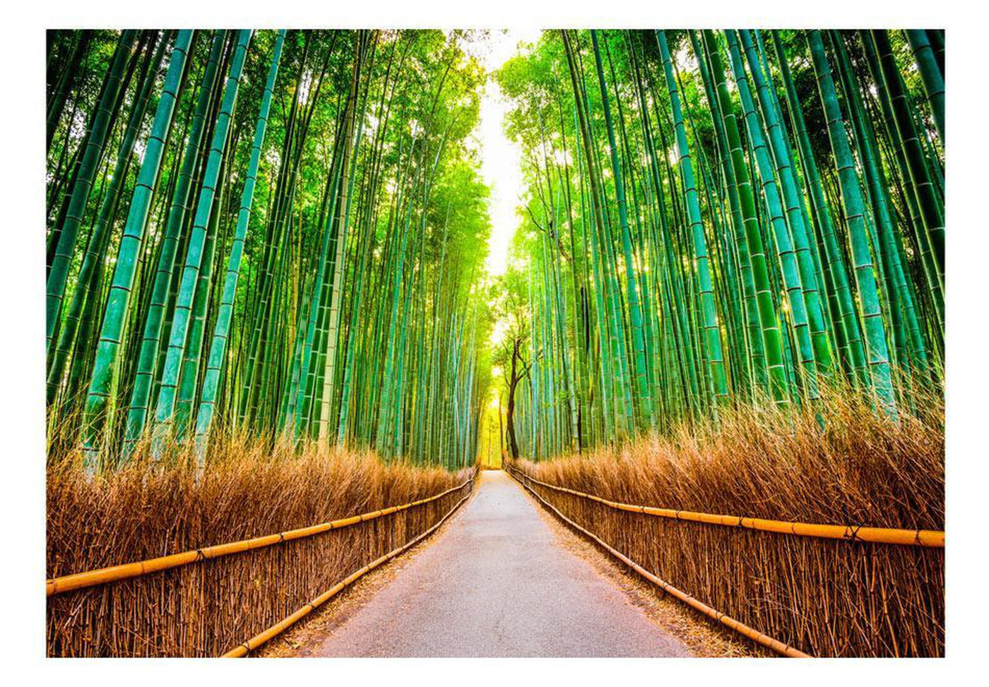 Vivyet Peel and Stick Wall Mural - Bamboo Forest 38.6x27.6
