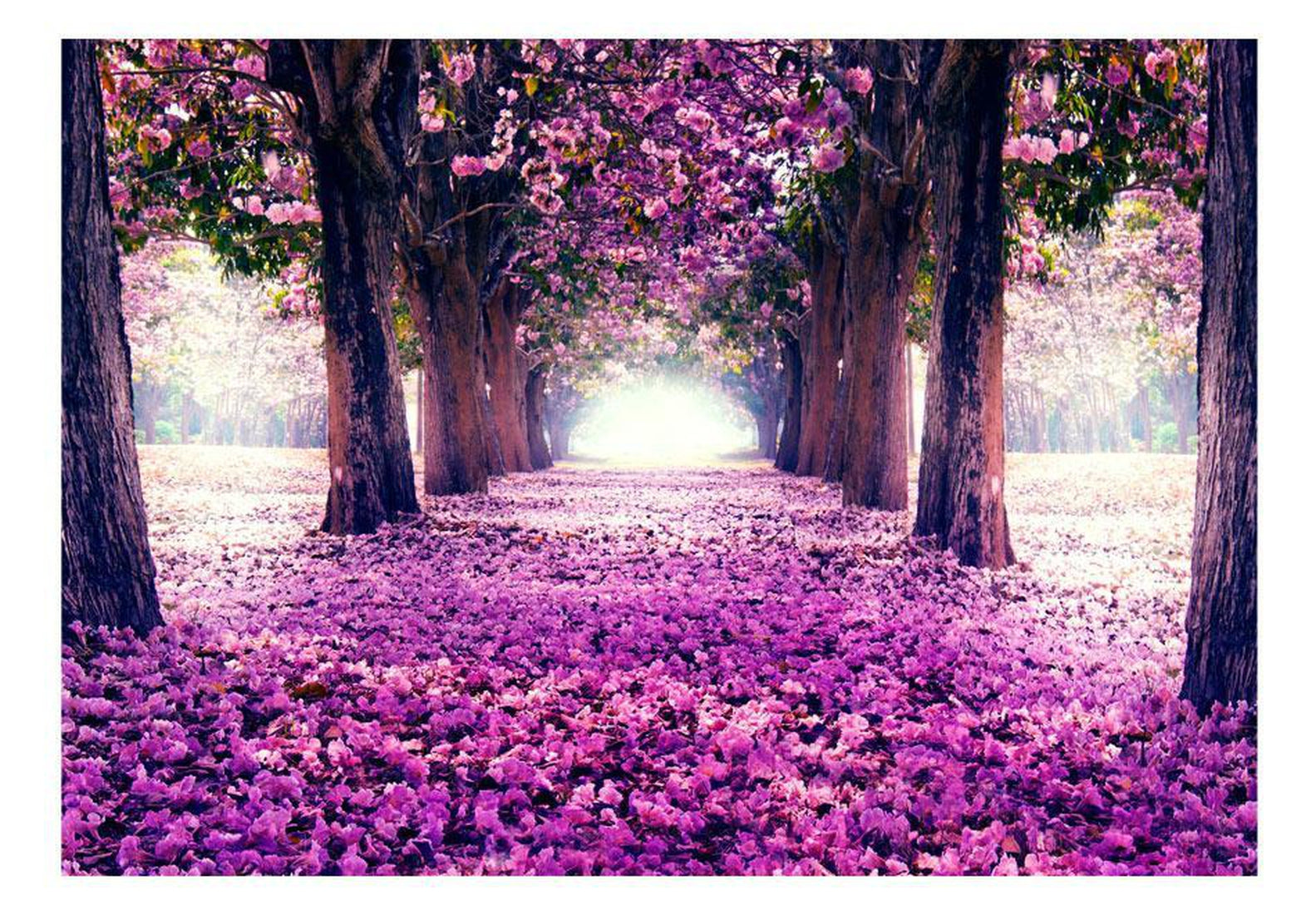 Peel and stick wall mural - Flower road-TipTopHomeDecor