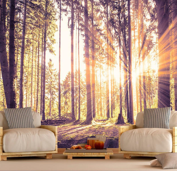 Peel and stick wall mural - Forest Afternoon-TipTopHomeDecor