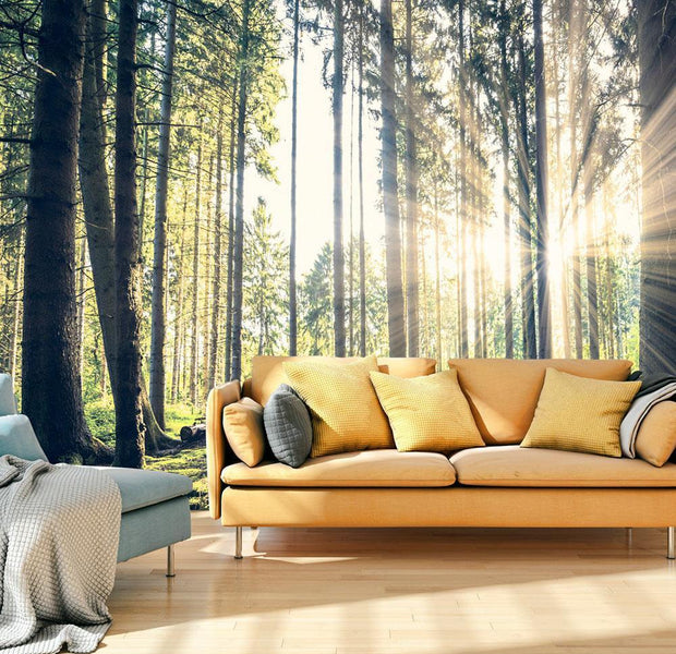 Peel and stick wall mural - Forest Walk-TipTopHomeDecor