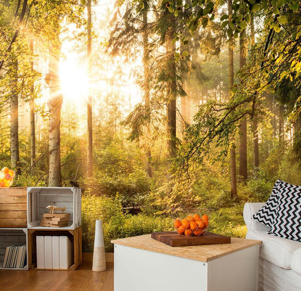 Peel and stick wall mural - Mystic of the Morning-TipTopHomeDecor