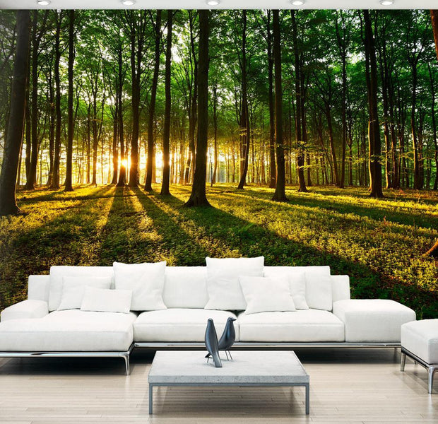 Peel and stick wall mural - Mystical Morning-TipTopHomeDecor