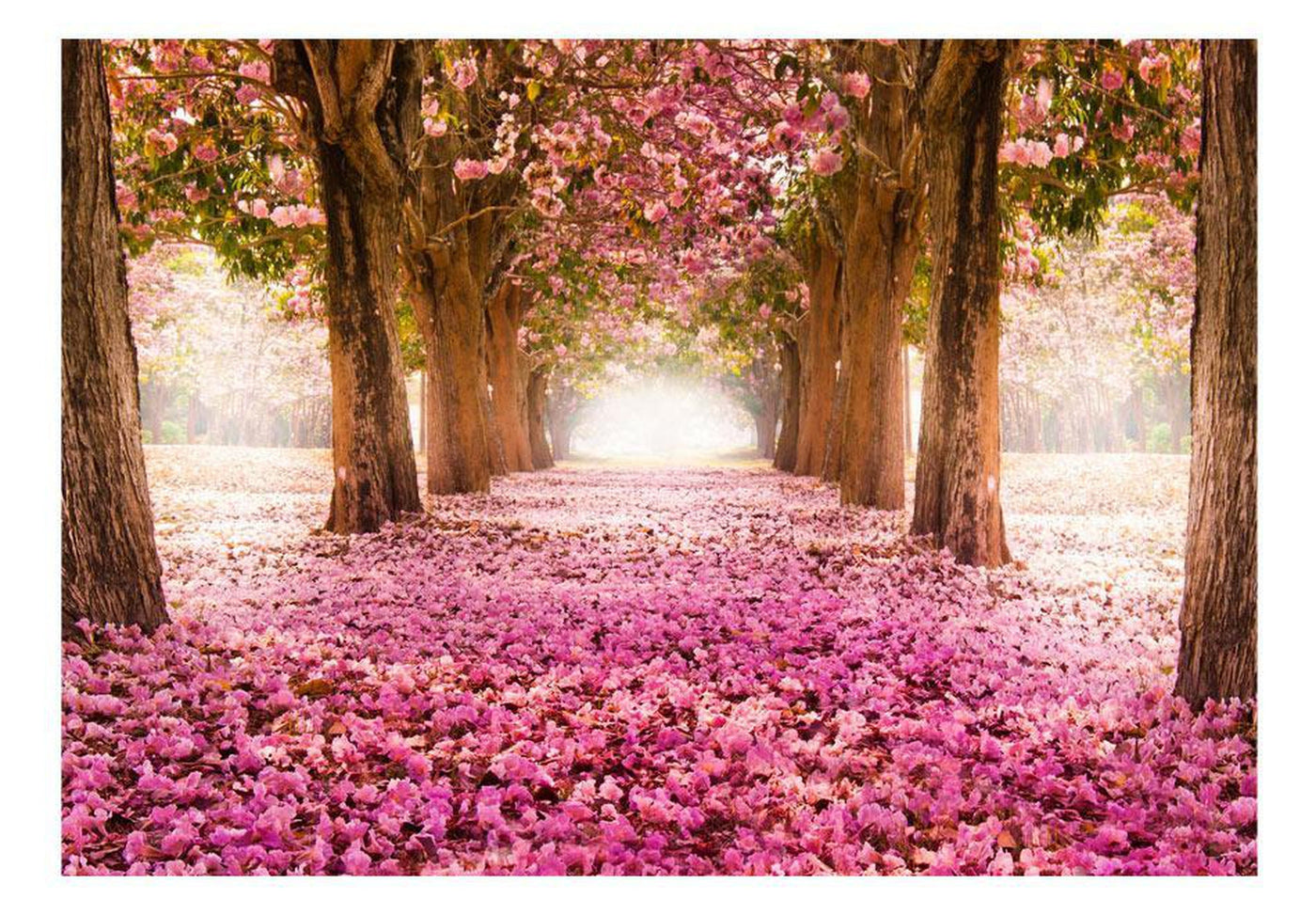 Peel and stick wall mural - Pink grove-TipTopHomeDecor