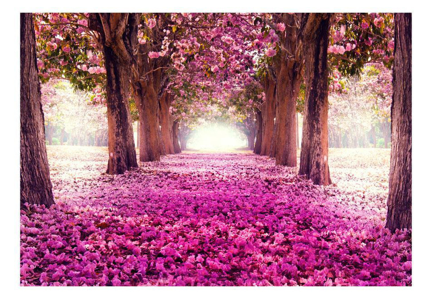 Peel and stick wall mural - Pink path-TipTopHomeDecor