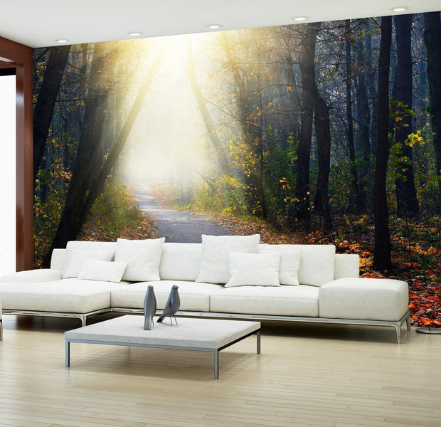 Peel and stick wall mural - Road through the Forest-TipTopHomeDecor
