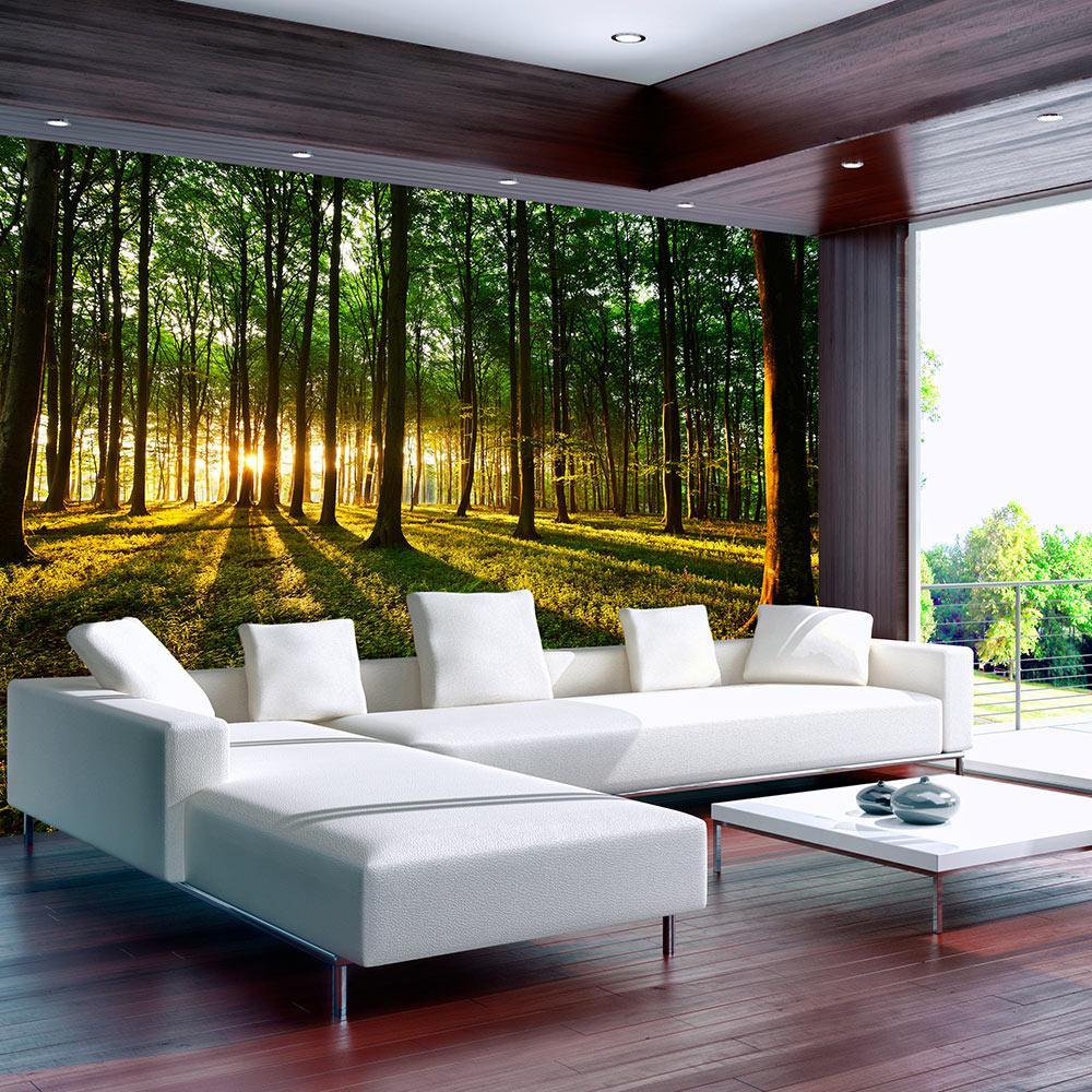 Peel and stick wall mural - Spring: Morning in the Forest-TipTopHomeDecor