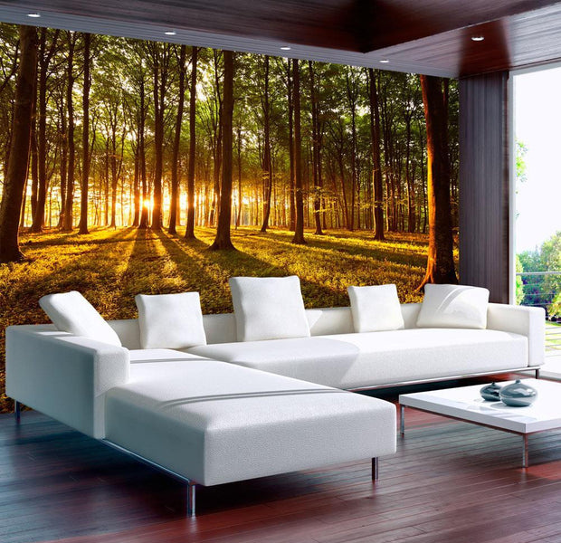 Peel and stick wall mural - Summer: Morning in the forest-TipTopHomeDecor