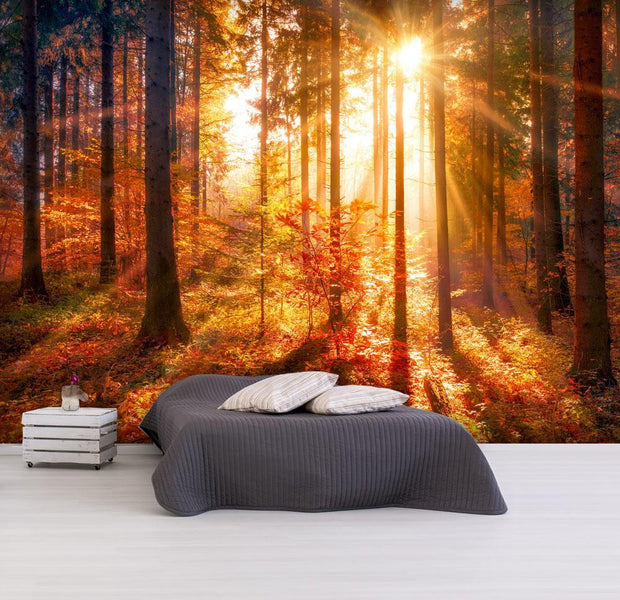 Peel and stick wall mural - Autumnal Time-TipTopHomeDecor