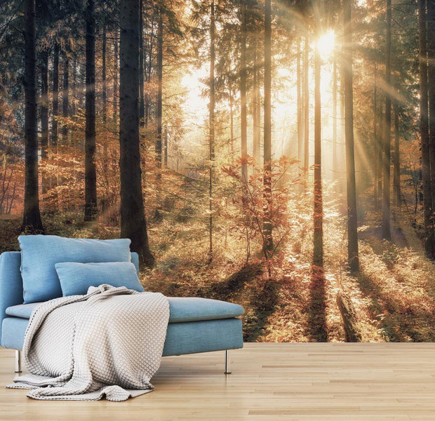 Peel and stick wall mural - Autumnal Forest-TipTopHomeDecor
