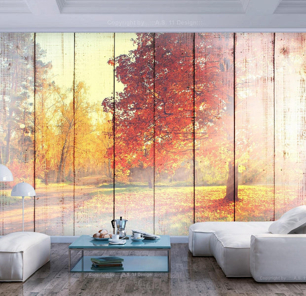 Peel and stick wall mural - Autumn Sun-TipTopHomeDecor