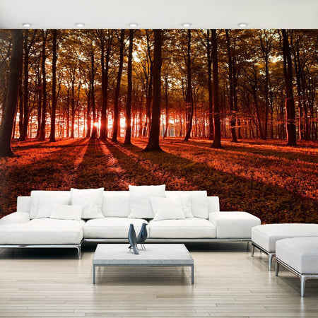 Peel and stick wall mural - Autumn Morning II-TipTopHomeDecor