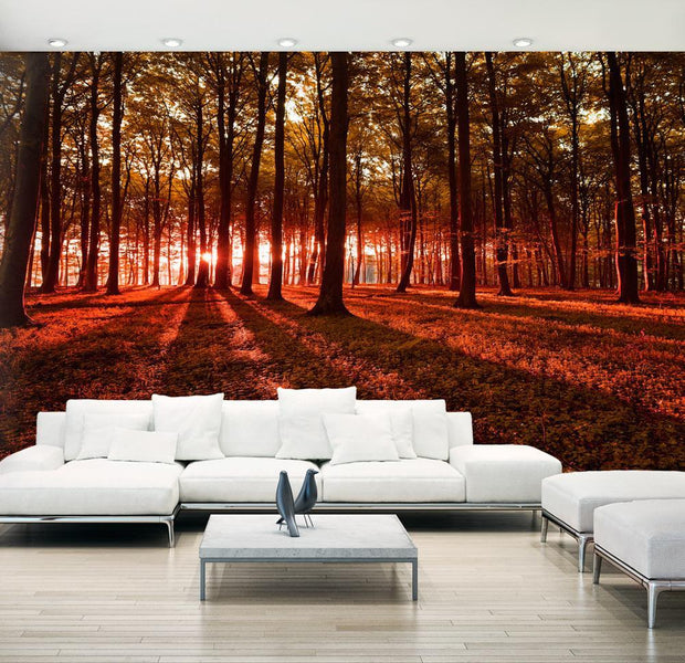 Peel and stick wall mural - Autumn Morning II-TipTopHomeDecor