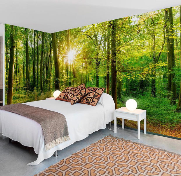 Peel and stick wall mural - Forest Rays-TipTopHomeDecor